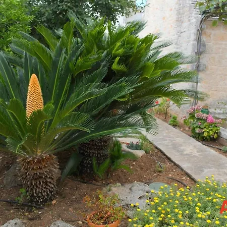 Trullo Al Vicoletto Al Civico 10, Civico 8, Civico 7 Holiday home *